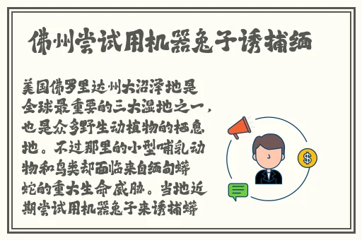 幸福宝推广APP下载站长统计